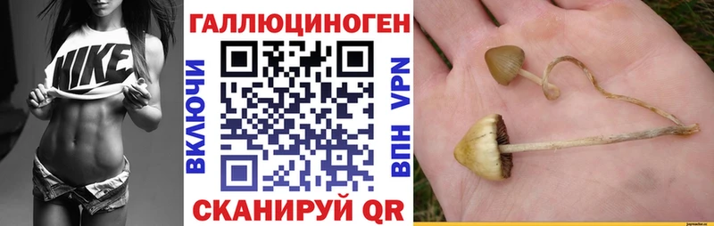 Псилоцибиновые грибы прущие грибы  Купить закладки  Медногорск 